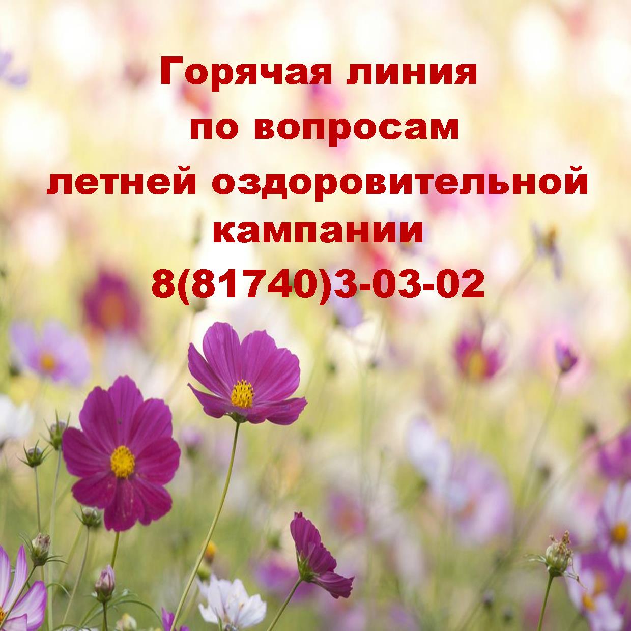 лето 2023 оздоровит.лагеря